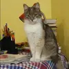 Отзыв от Ираида Ларина